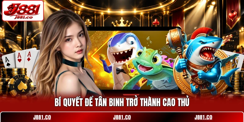 Bí quyết để tân binh trở thành cao thủ Bí quyết để tân binh trở thành cao thủ