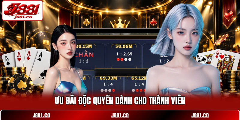 Ưu đãi độc quyền dành cho thành viên